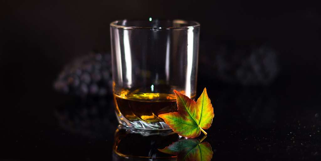 Read more about the article 10 Best Types of Whiskey Glasses to Use