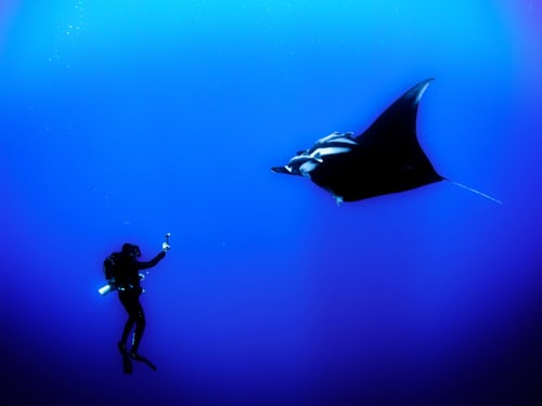 A destination guide for the experienced diver 2 Diver