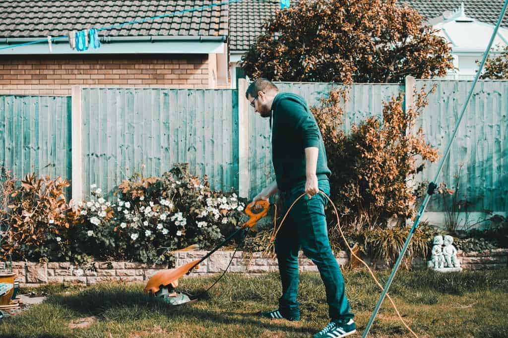 You are currently viewing How To Get Your Garden Ready For Summer