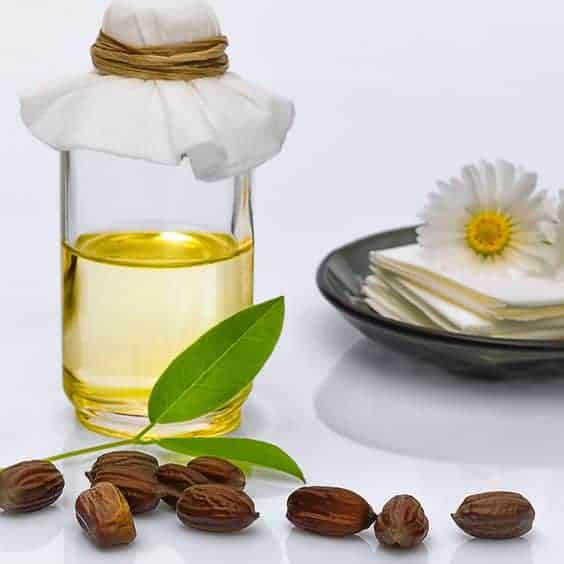 9 Natural Ingredients That Are Most Effective in Keeping the Skin Healthy 4 Jojoba Oil