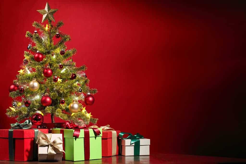 Read more about the article Going For The Best Types of Christmas Tree Storage Bags First