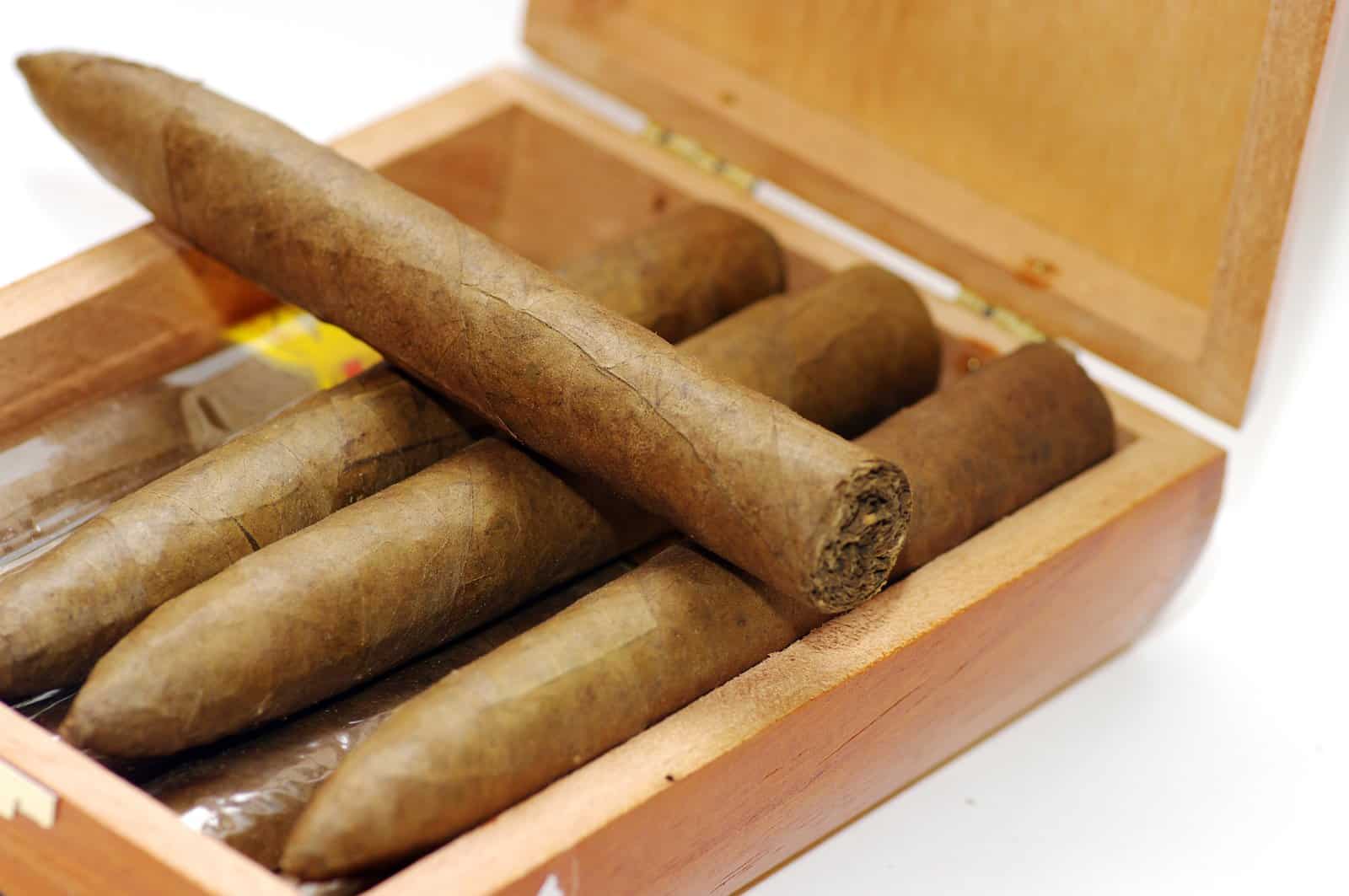 Read more about the article How Does a Humidor Work To Protect Your Cigars?