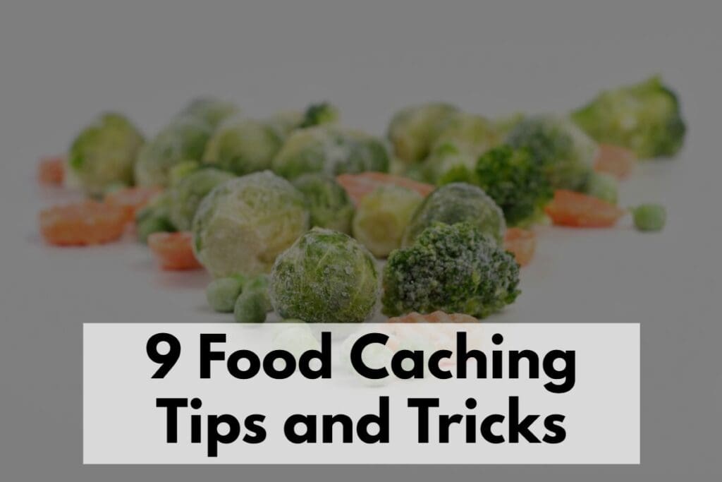 9 Food Caching Tips And Tricks