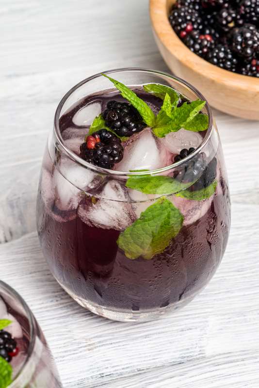 Blackberry Gin Fizz cocktail