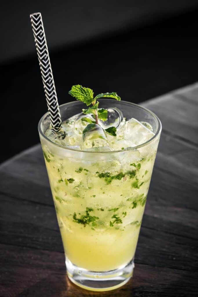 Gin On Gin Julep Cocktail Recipe Bourbon And Boots