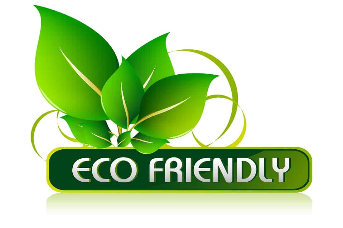 Read more about the article 5 Ways to Make Your Next Stay at a Vacation Rental More Eco-Friendly