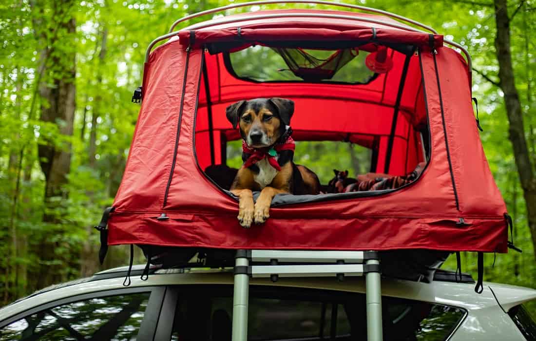 You are currently viewing 6 Reasons Why Roof Top Tents are Changing the Camping Game