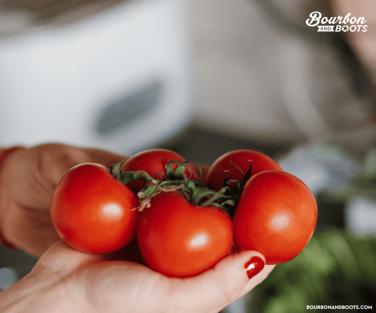 skin care tomato 