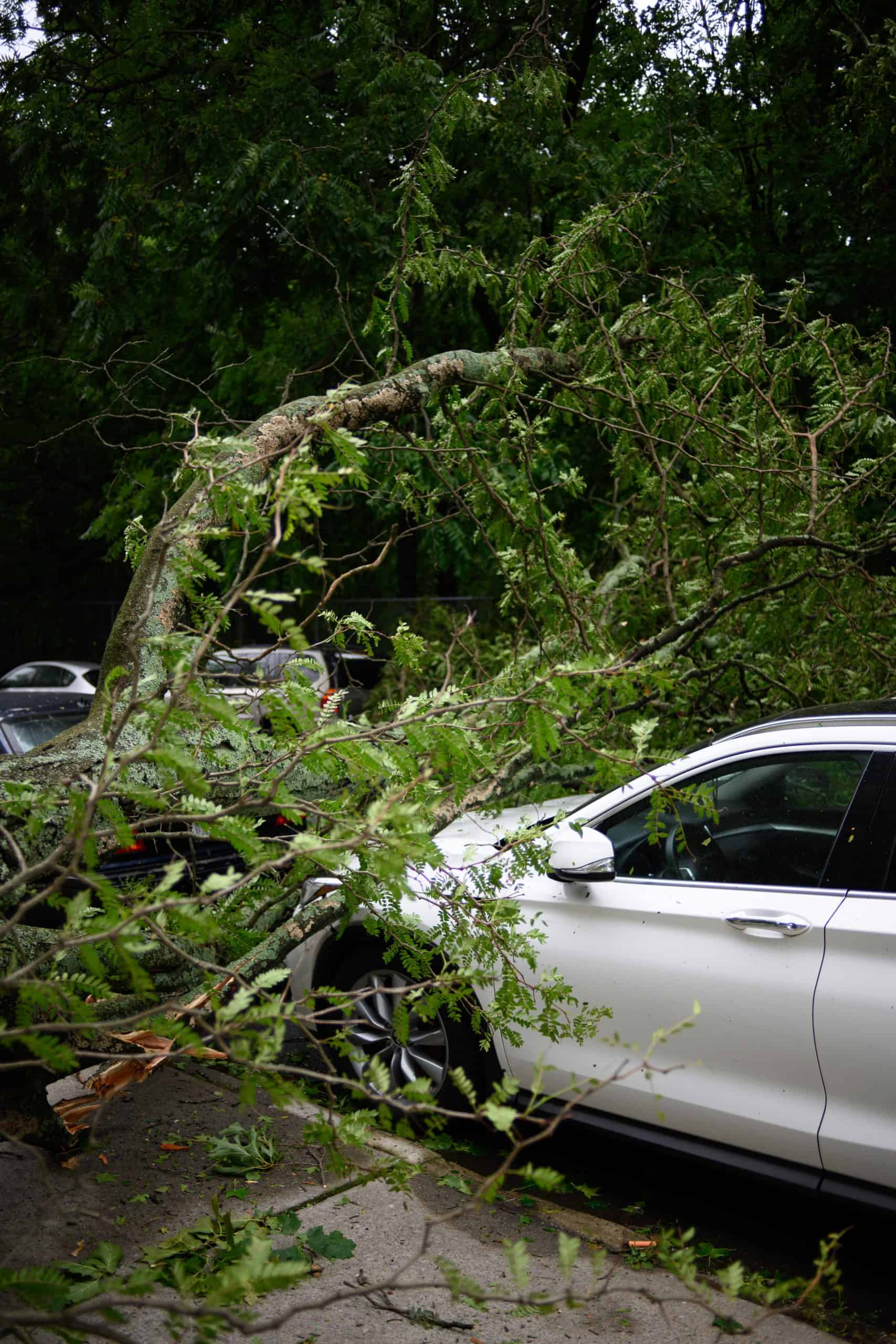 What You Must Know About Fatigue-Related Car Accidents 3 car accident