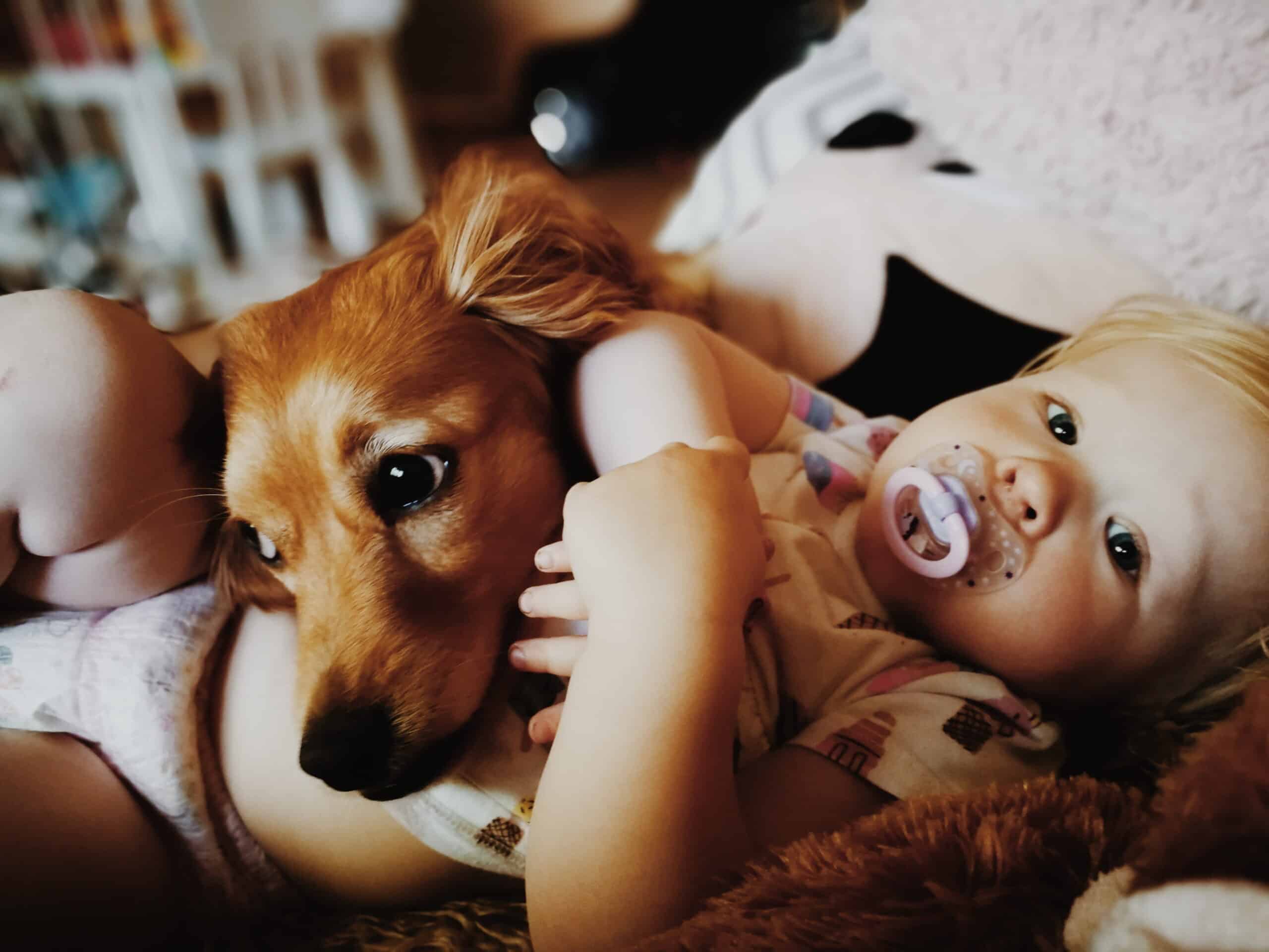 Preparing for Your New Baby? A Checklist for New Parents 2 Furry Family Members
