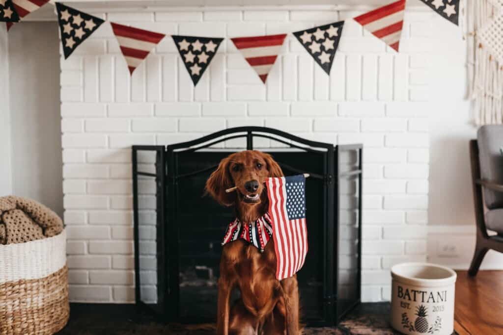 4th of July: Celebrating Safely and Responsibly 2 4th of July: Celebrating Safely and Responsibly 2